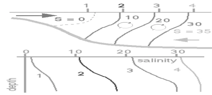 Gambar 4. Estuari Stratifikasi Tinggi (Tomczak, 1998) 