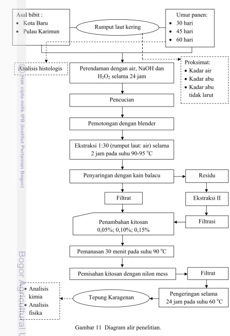 Gambar 11  Diagram alir penelitian. 