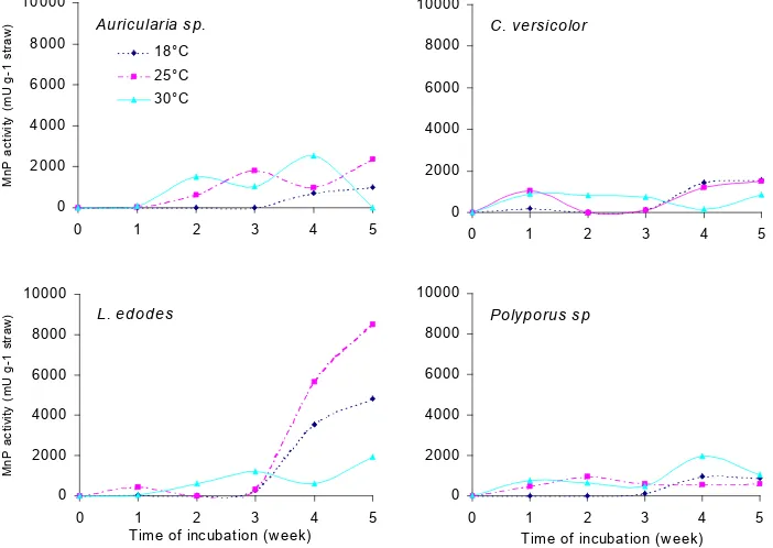 Figure 3. Influence of the incubation temperature on the activity of manganese peroxidasein the straw substrate during solid-state fermentation with Auricularia sp.,Coriolus versicolor, Lentinus edodes and Polyporus sp.