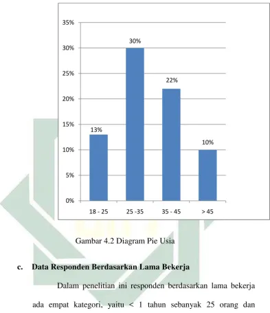 Gambar 4.2 Diagram Pie Usia