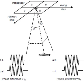 Gambar 10  Prinsip kerja dari echosounder split-beam. 