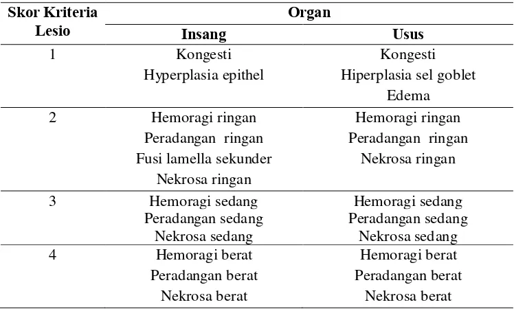 Tabel 1   Nilai skor lesio histopatologi organ 