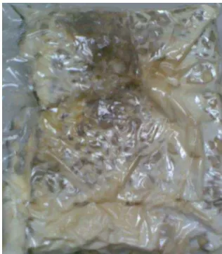Gambar 1. Kerusakan Mutu pada Tempe 