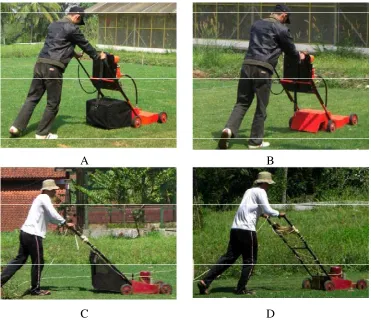 Gambar 14. Rancangan lahan penelitian 