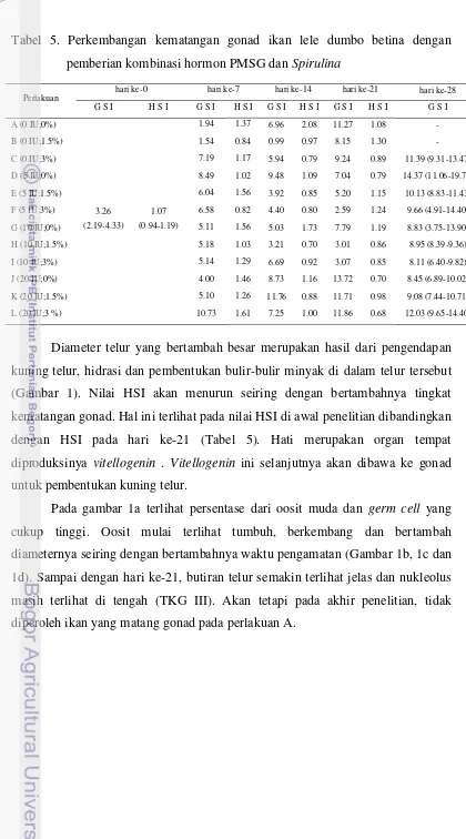 Tabel 5. Perkembangan kematangan gonad ikan lele dumbo betina dengan 