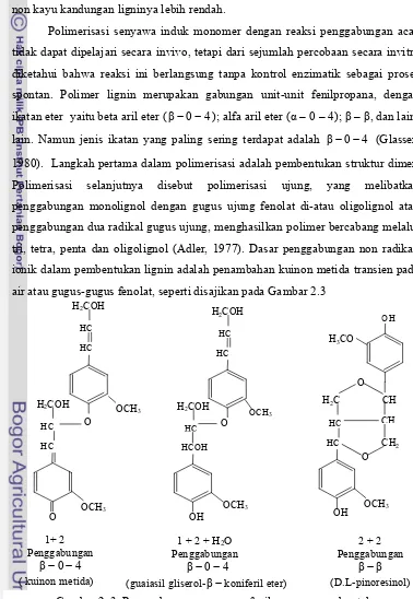 Gambar 2. 3  Penggabungan monomer fenilpropana membentuk 