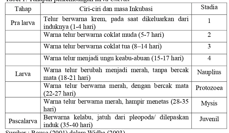 Tabel 1. Tahapan perkembangan larva Cherax  