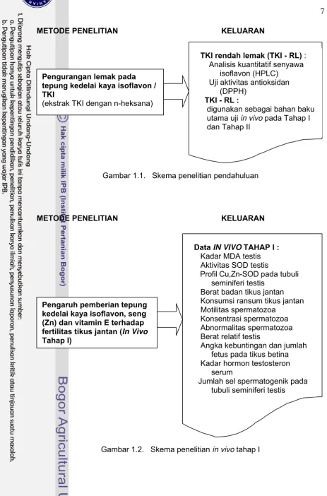 Gambar 1.1.   Skema penelitian pendahuluan 