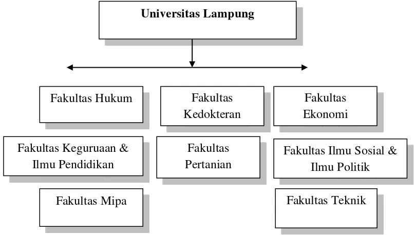 Table. 2 Delapan Fakultas di Universitas Lampung 