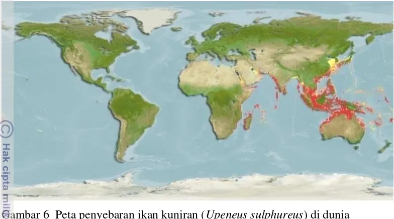 Gambar 6  Peta penyebaran ikan kuniran (Upeneus sulphureus) di dunia  