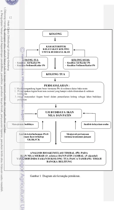 Gambar 1  Diagram alir kerangka pemikiran. 