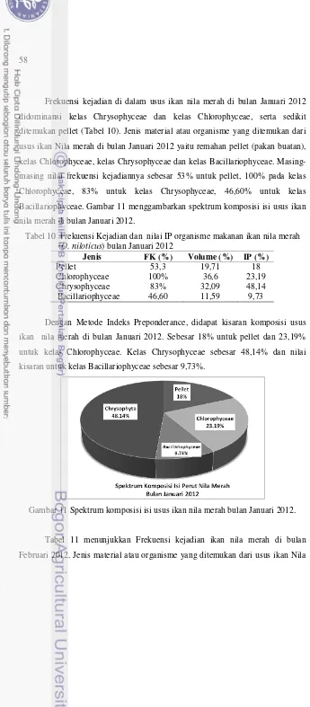 Tabel 10  Frekuensi Kejadian dan  nilai IP organisme makanan ikan nila merah 