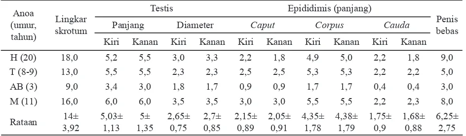 Tabel 1. Karakteristik organ reproduksi luar anoa jantan (cm)