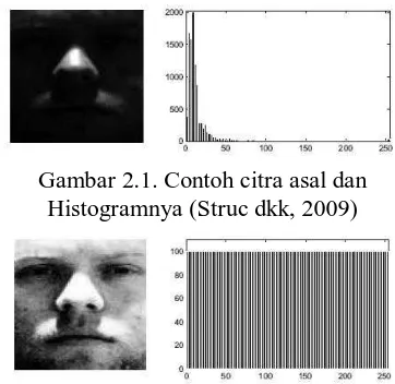 Gambar 2.1. Contoh citra asal dan Histogramnya (Struc dkk, 2009) 