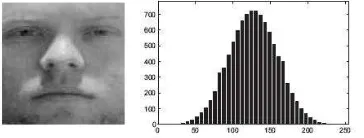 Gambar 2.3. Contoh citra dan Histogramnya  setelah proses histogram remapping dengan 