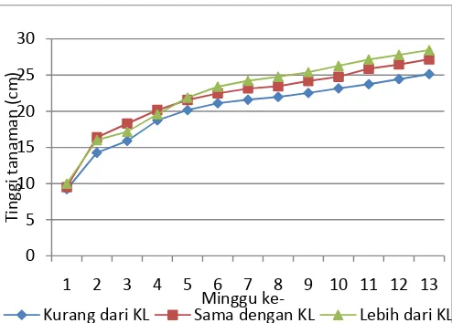 Gambar 11. Grafik pertumbuhan tinggi tanaman selama pembibitan (irigasi tetes)