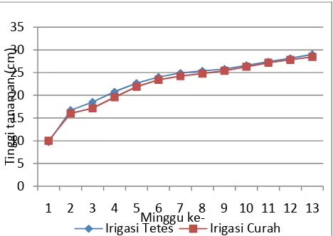 Gambar 13. Grafik pertumbuhan tinggi tanaman selama pembibitan (kurang dari KL)