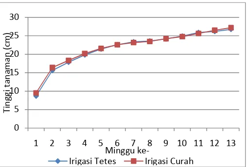 Gambar 15. Grafik pertumbuhan tinggi tanaman selama pembibitan (sama dengan KL)