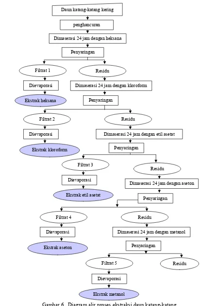 Gambar 6.  Diagram alir proses ekstraksi daun katang-katang. 