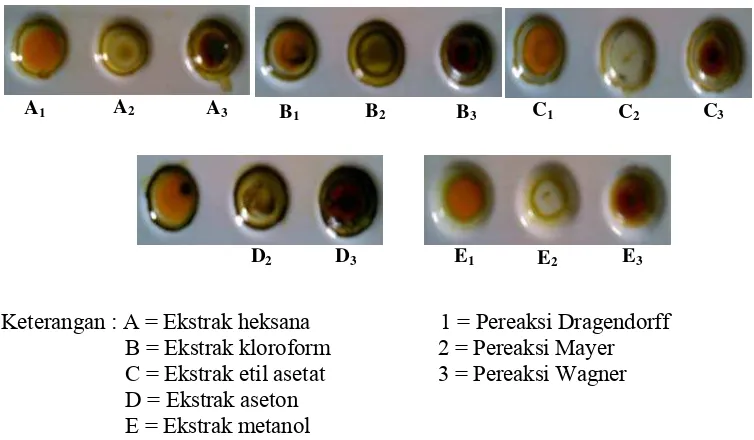 Gambar 12. Hasil pengamatan uji fitokimia (alkaloid). 