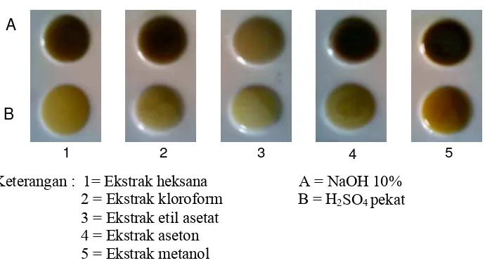 Gambar 13. Hasil pengamatan uji fitokimia (flavonoid). 