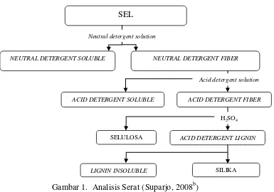 Gambar 1.  Analisis Serat (Suparjo, 2008b) 