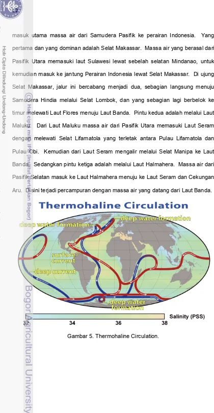 Gambar 5. Thermohaline Circulation. 