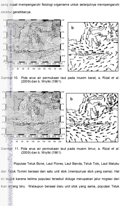 Gambar 10.  Pola arus air permukaan laut pada musim barat, a. Rizal et al. 