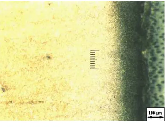 Gambar 4. Foto Struktur Mikro sproket Merk AHMpada Bagian Tengah Gigi dengan Pembesaran 200X