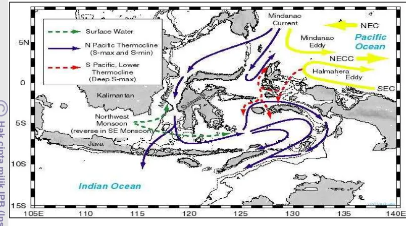 Gambar 3. Sistem Arus Lintas Indonesia di Perairan Indonesia (Gordon et al. 