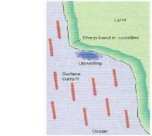 Gambar 4. Mekanisme terjadinya upwelling oleh tikungan tajam garis pantai (Thurman and Trujillo, 2004) 