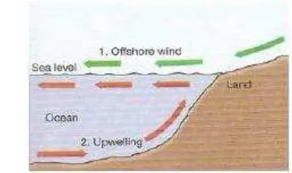 Gambar 5. Mekanisme terjadinya upwelling oleh offshore wind (Thurman and 