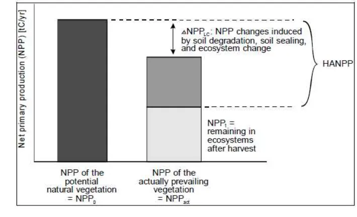 Gambar 5.  Definisi dari human appropriation of net primary production (Haberl 