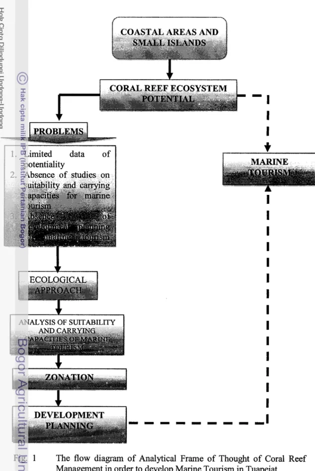Fig.  1  The  flow  diagram  of  Analytical  Frame  of  Thought  of  Coral  Reef  Management in order to develop Marine Tourism in Tuapejat 