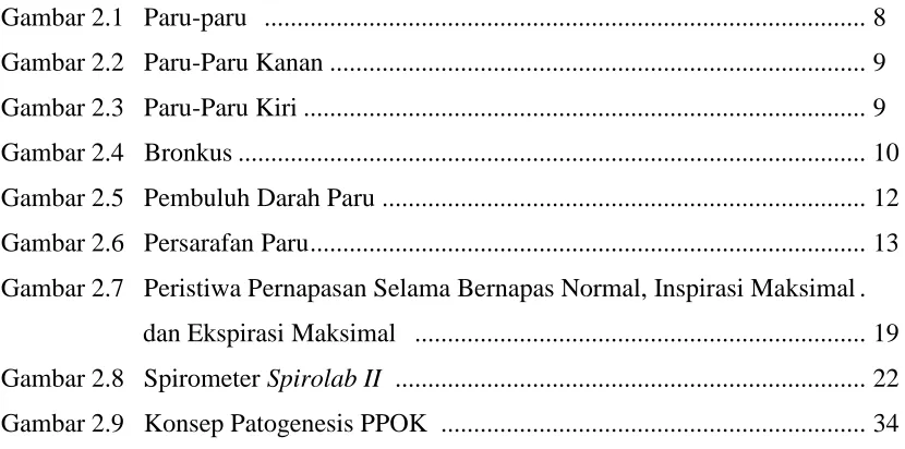 Gambar 2.1   Paru-paru    ...........................................................................................