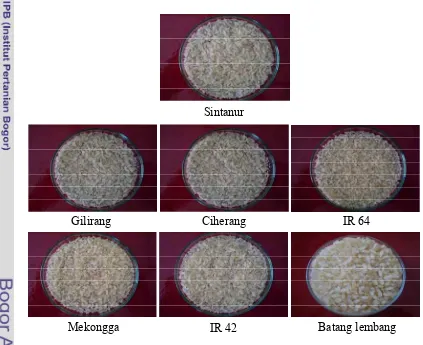 Tabel 9 Pengaruh pengolahan beras pratanak terhadap derajat putih. 