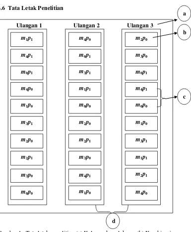 Gambar 1.  Tata letak penelitian (a) Kelompok perlakuan, (b) Kombinasi perlakuan, (c) Jarak antar petak 0,5 m, dan (d) Jarak antar kelompok yaitu 1 m