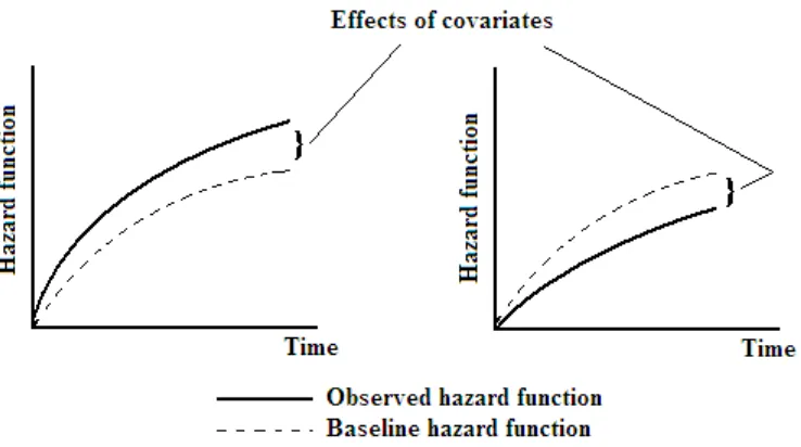 Figure 2-5: Illustration of pattern of the hazard function and the baseline hazard function