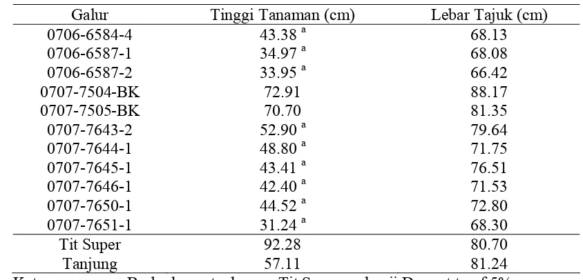 Tabel 10. Rata-Rata Tinggi Tanaman dan Lebar Tajuk, Galur yang Dievaluasi  Dibandingkan dengan Tit Super dan Tanjung 