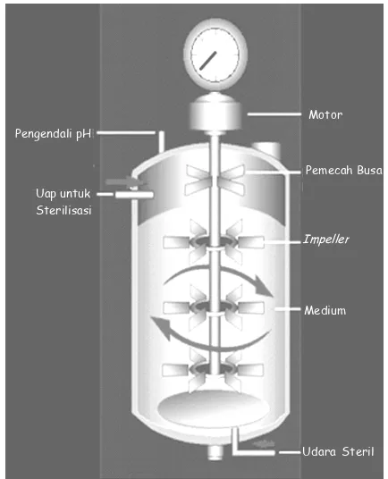 Gambar 2.  Penampang fermentor untuk fermentasi skala laboratorium   