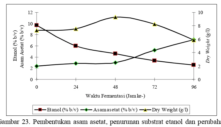 Gambar 22. Pembentukan asam asetat, penurunan substrat etanol dan perubahan  biomassa sel (dry weight) selama fermentasi asam asetat pada medium pulp kakao melalui fermentasi alkohol secara fed-batch tanpa penambahan enzim selulase