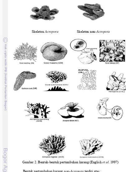 Gambar 2. Bentuk-bentuk pertumbuhan karang (English et al. 1997) 