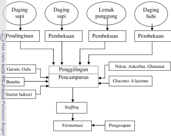 Gambar 3  Skema pembuatan sosis fermentasi kering (dry fermented sausage)                       secara tradisional dari berbagai jenis sosis Jerman  