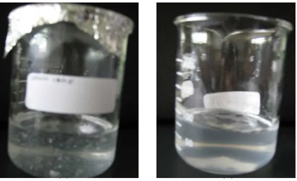 Gambar 6. Gel bioetanol hasil (a)  alir proses metode I  dan (b) alir proses metode II  