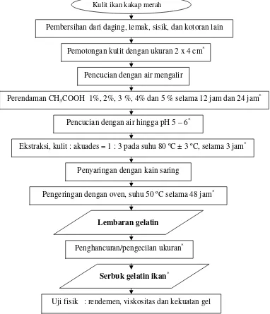 Gambar 4. Skema proses pembuatan gelatin kulit ikan kakap merah (Lutjanus sp.)  (*Modifikasi Pelu et al., 1998)  