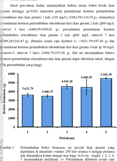 Gambar 3  Pertumbuhan bobot biomassa (g) juvenil ikan gurami yang 