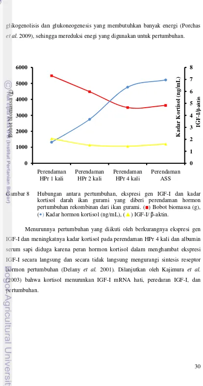 Gambar 8 Hubungan antara pertumbuhan, ekspresi gen IGF-I dan kadar 