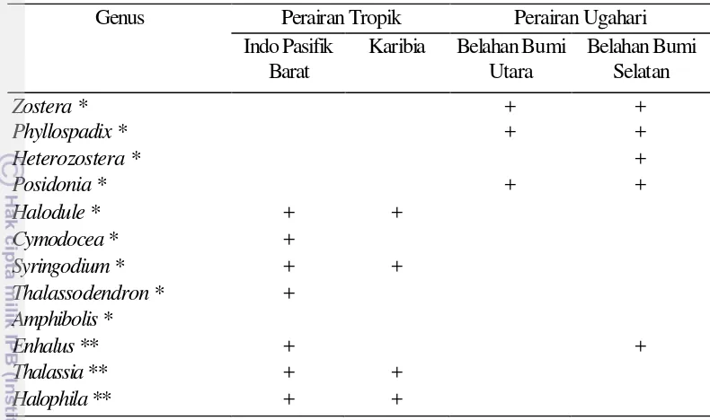 Tabel 1 Sebaran lamun di seluruh dunia (modifikasi dari Hutomo 1985; Fortes 1990)  