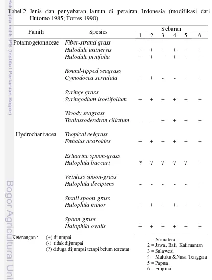 Tabel 2  Jenis dan penyebaran lamun di perairan Indonesia (modifikasi dari 