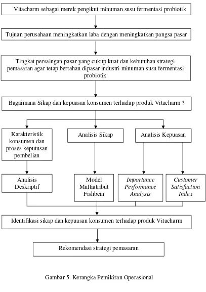 Gambar 5. Kerangka Pemikiran Operasional 